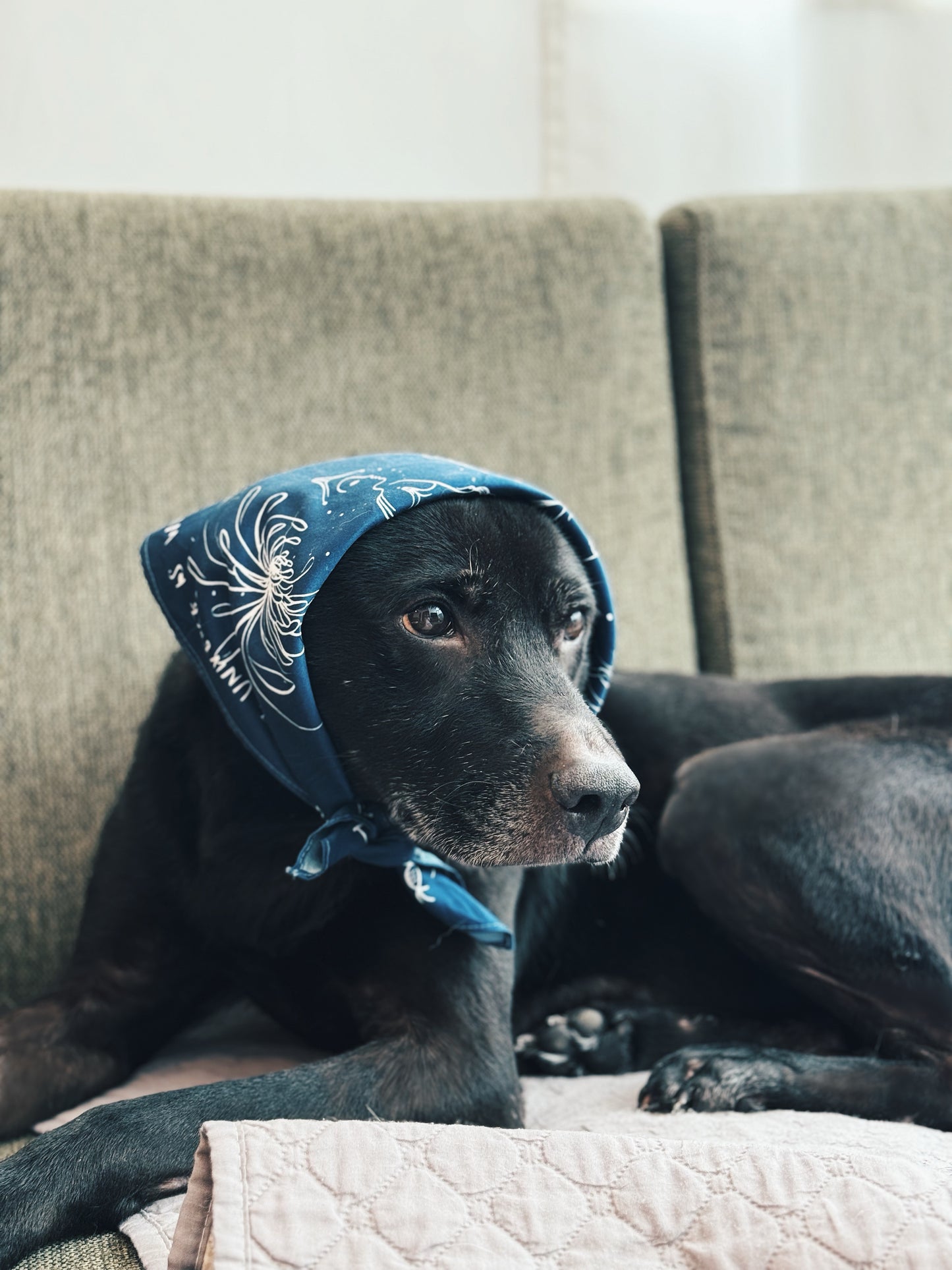 EINU Bandana: Dark Blue