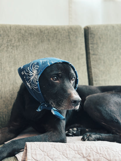 EINU Bandana: Dark Blue