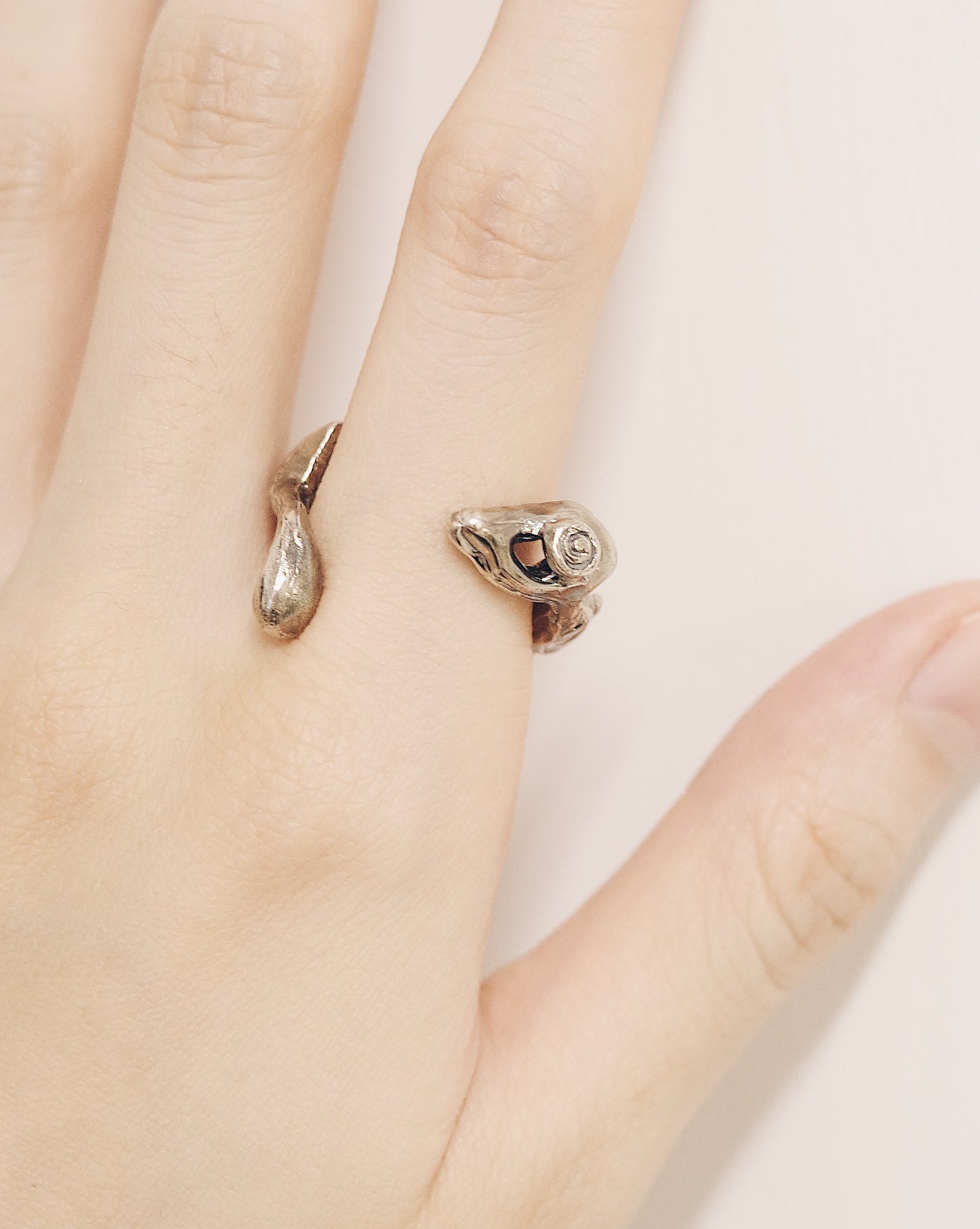 The Diamond Sutra Ring