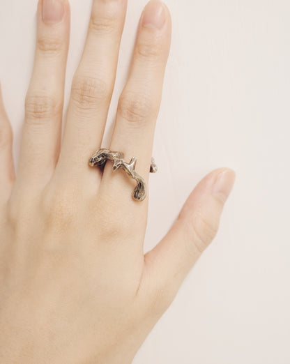 The Diamond Sutra Ring